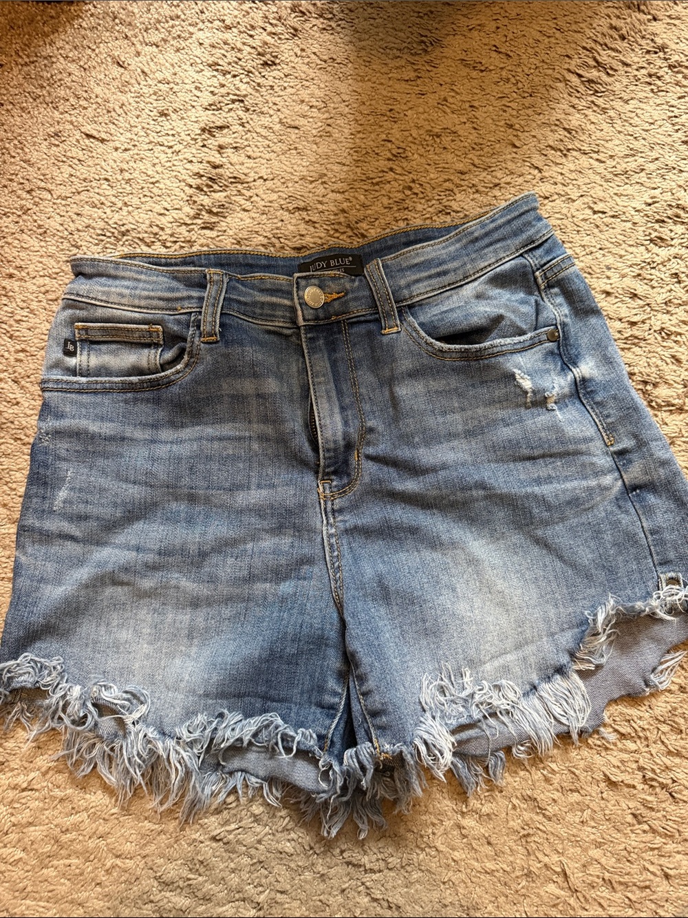 Judy Blue shorts
